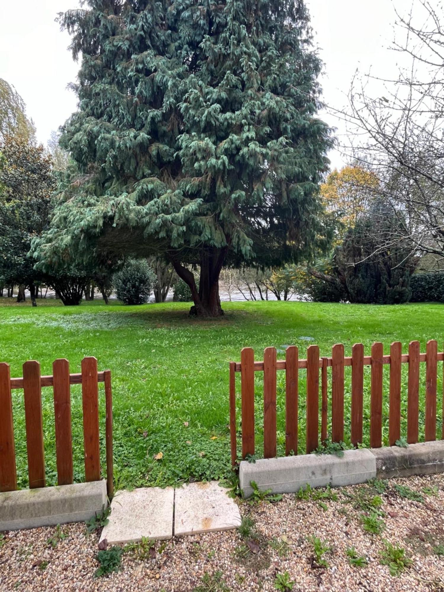 Logement Paisible En Bord De Vienne Bonneuil-Matours 外观 照片